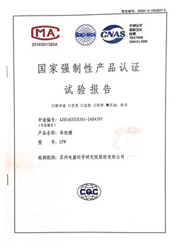 檢測(cè)報(bào)告_CFW 630A-100A 1